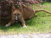 11) Duffy und sein Lieblingsplatz drausen 2